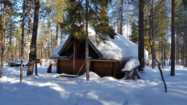 Un cuento de invierno: 10 días en Helsinki, Tallín y Laponia, marzo 2017 - Blogs de Finlandia - Levi, paisajes para una postal (9)