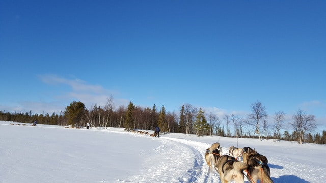 Un cuento de invierno: 10 días en Helsinki, Tallín y Laponia, marzo 2017 - Blogs de Finlandia - Levi, paisajes para una postal (15)