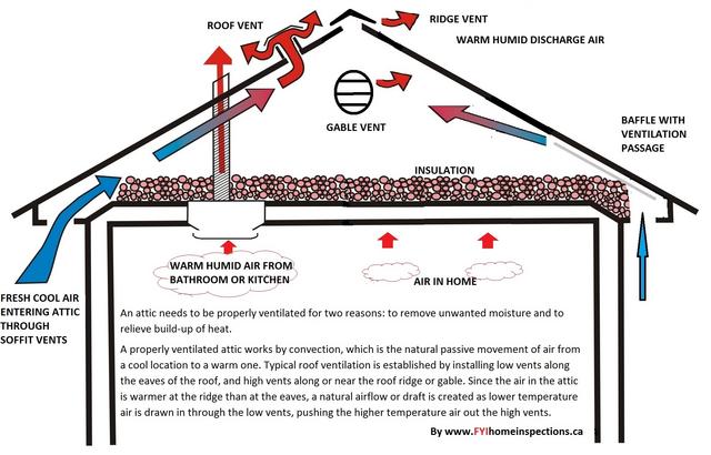 Attic-image-3.jpg