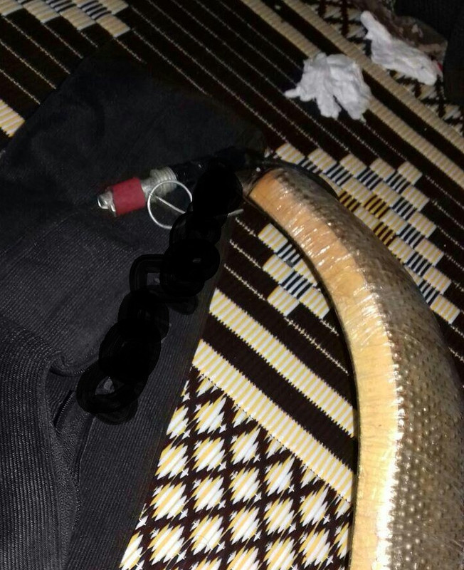 user posted image