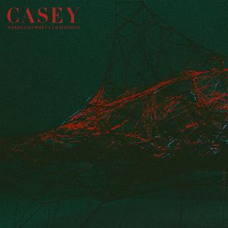 Casey - Where I Go When I Am Sleeping (2018).mp3 - 320 Kbps