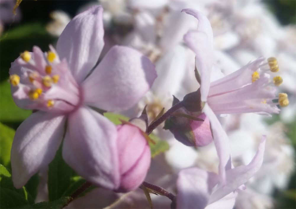 [Image: y20180520_112156_0.jpg]