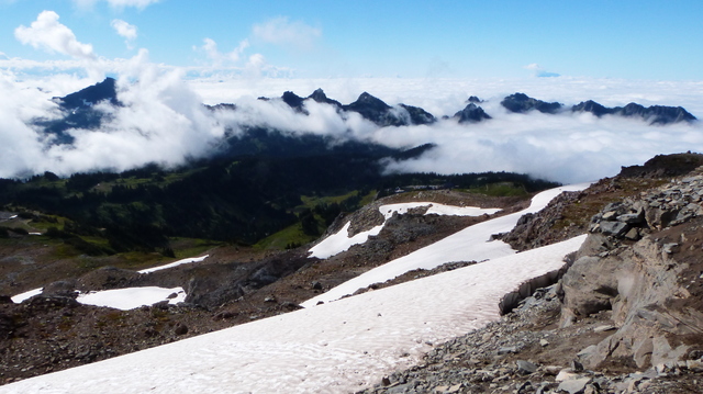 Día 22: Mount Rainier NP - Las maravillas del Noroeste de los Estados Unidos (14)