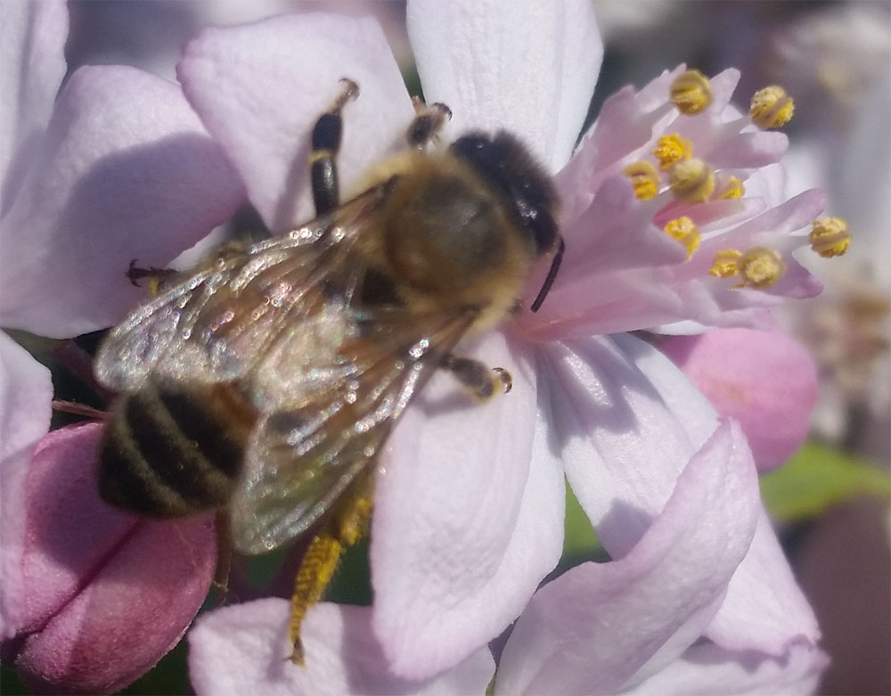 [Image: y20180520_112140.jpg]