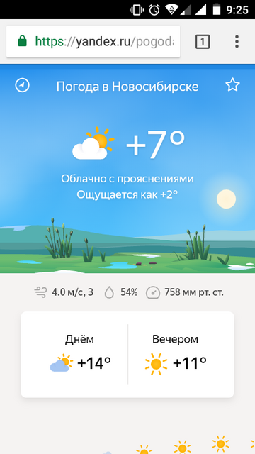 Погода в новосибирске сегодня. Погода в новосибирске. Погода в новосибирске сейчас по часам на сегодня. Пагода навасибирск. Температура в новосибирске.