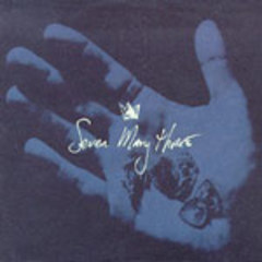 Seven Mary Three -  Rock Crown (1997).mp3 - 128 Kbps