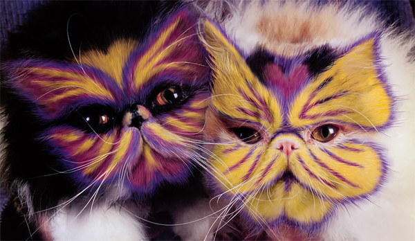why-paint-cats-butterflies.jpg