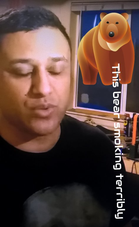 bear_smoke.jpg