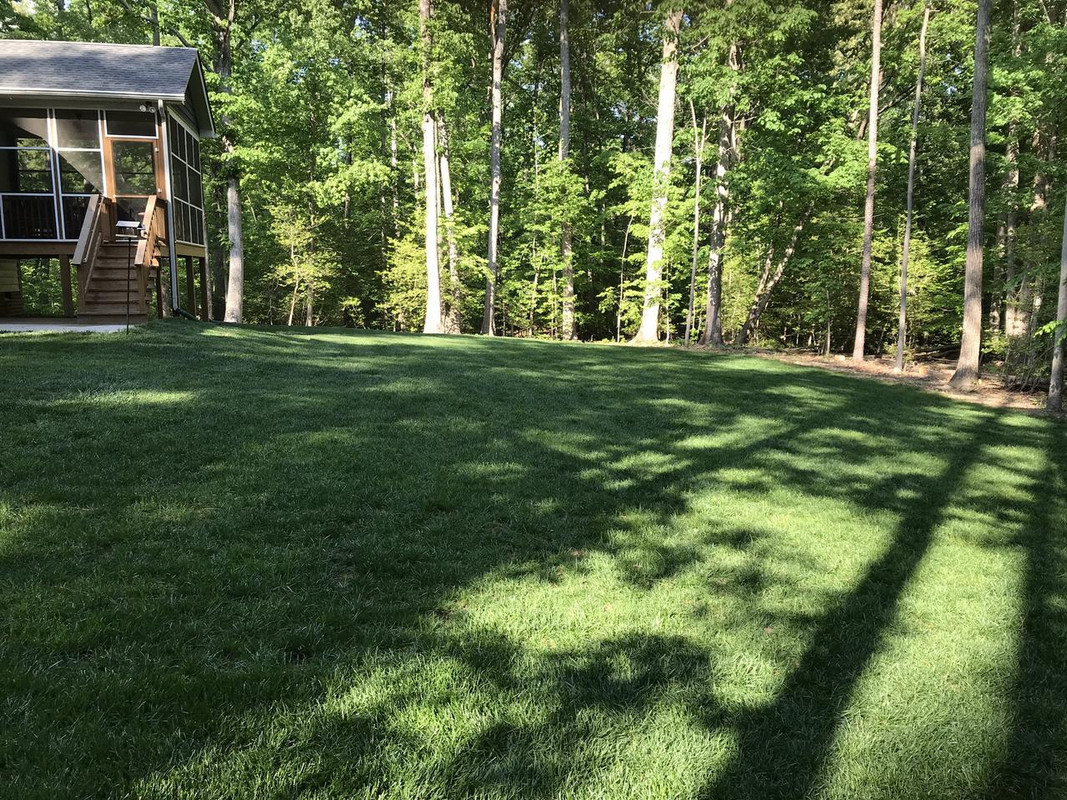 Powhatan S 2018 Lawn Journal The Forum The Lawn Forum